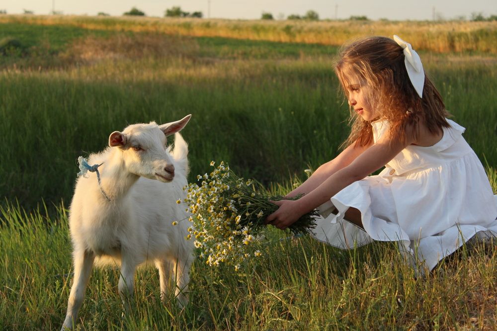 Photograph by Валентина Сабий