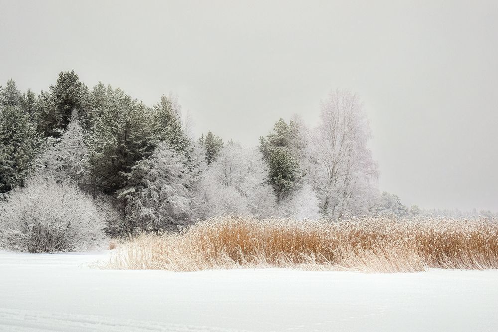 Photograph by Елена Амозова