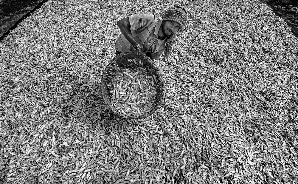 Photograph by somnath pal