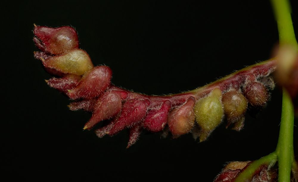 Photograph by Тараненко Анжелика