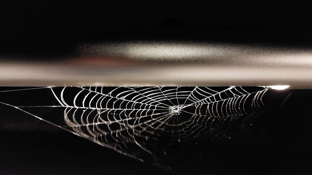 Photograph by Brigita Lehoťanová