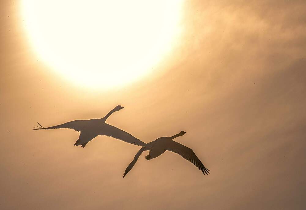 Photograph by Сиваков Алексей