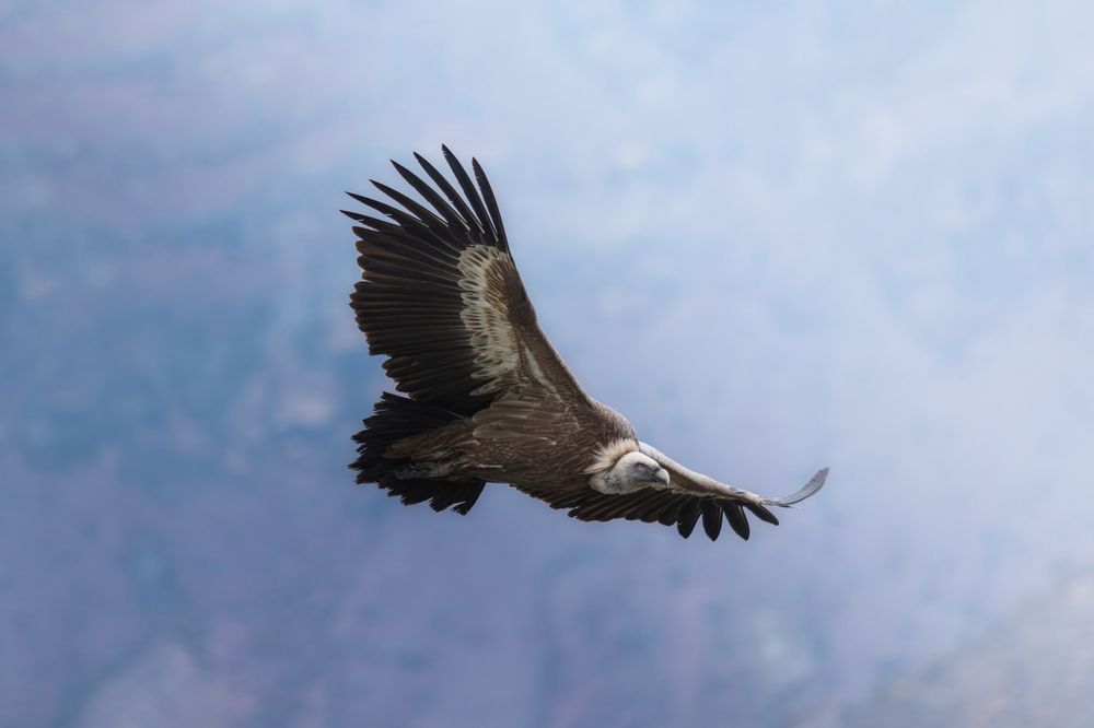 Photograph by Артем Зубарев