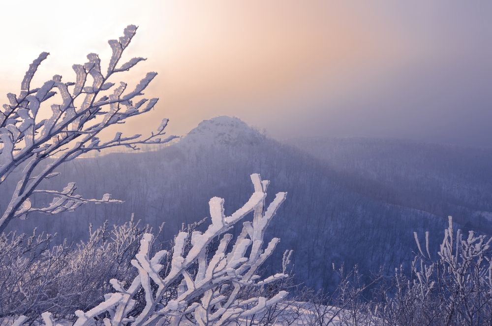 Photograph by Наталья Иванова