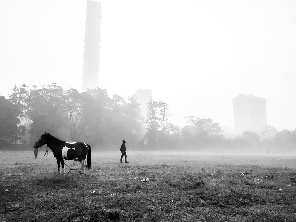 Photograph by Anubhav Bhattacharjee
