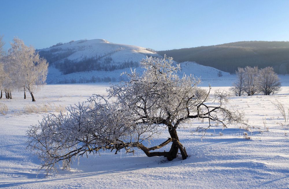 Photograph by Рашит Чумарин