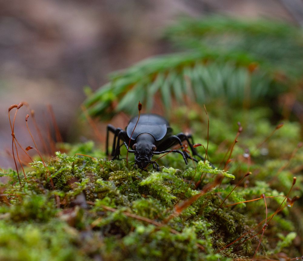 Photograph by Oleg Fomin