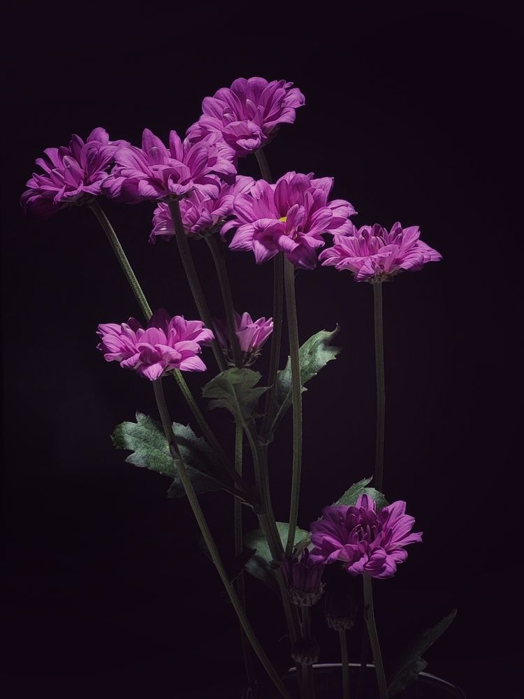 Photograph by Elizabeth Kabatskova