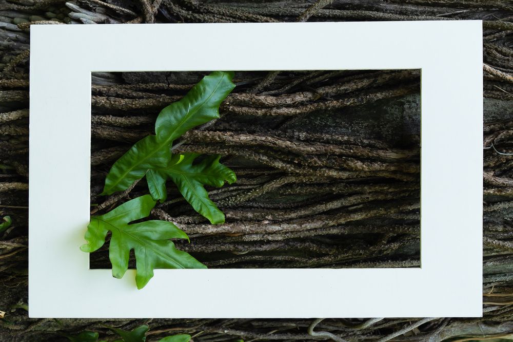 Photograph by Дмитрий Кулемин