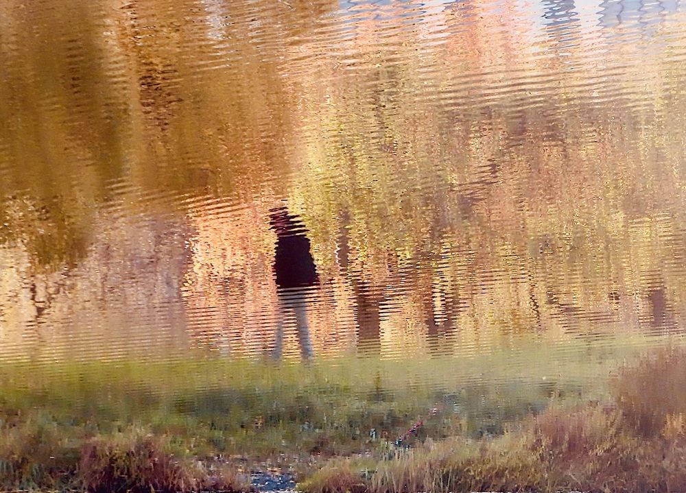 Photograph by Елена Жукова