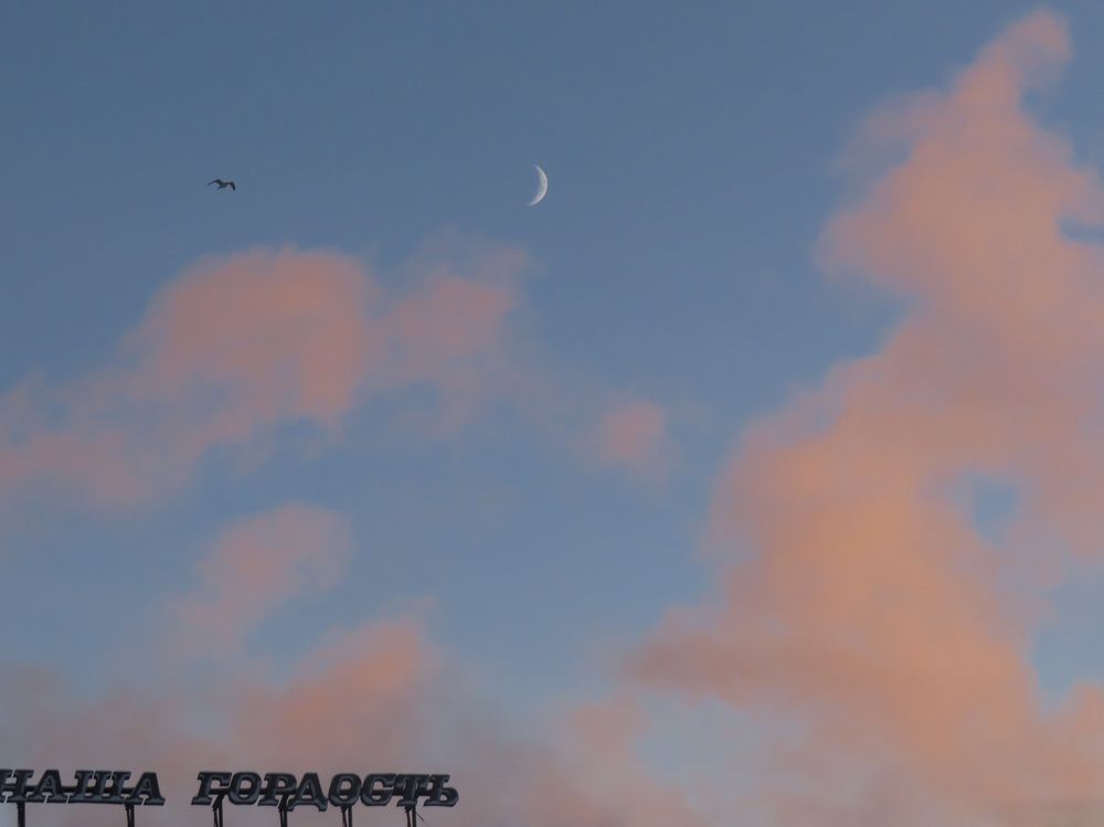 Photograph by Елена Жукова