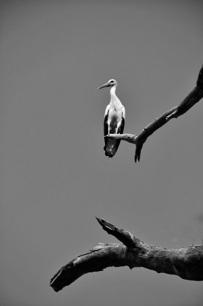 Photograph by Amin Golestanipour