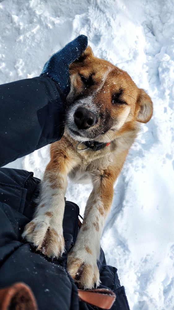 Photograph by Владислав Афанасьев