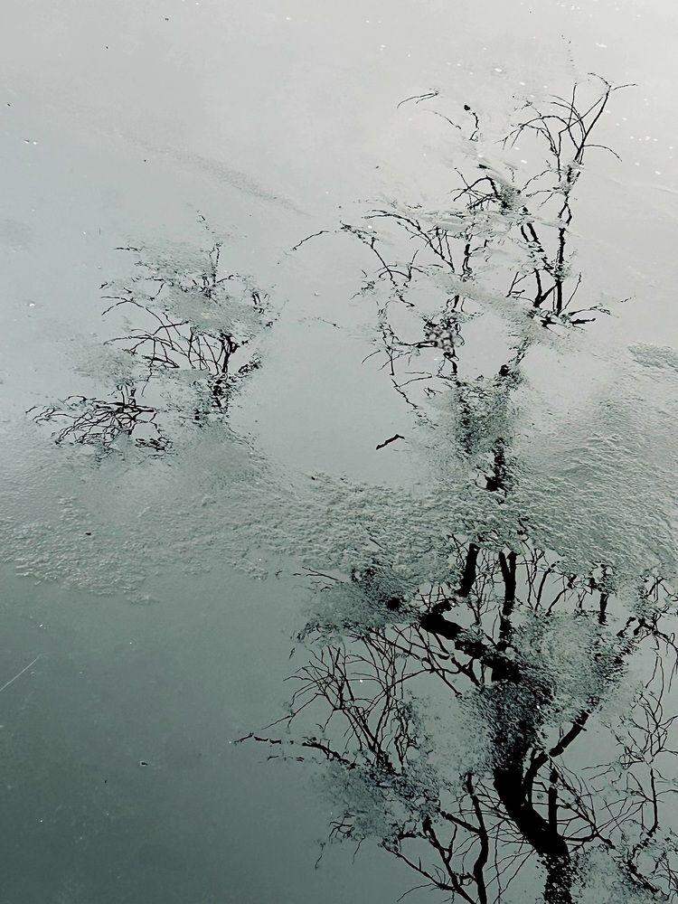 Photograph by Елена Маркова