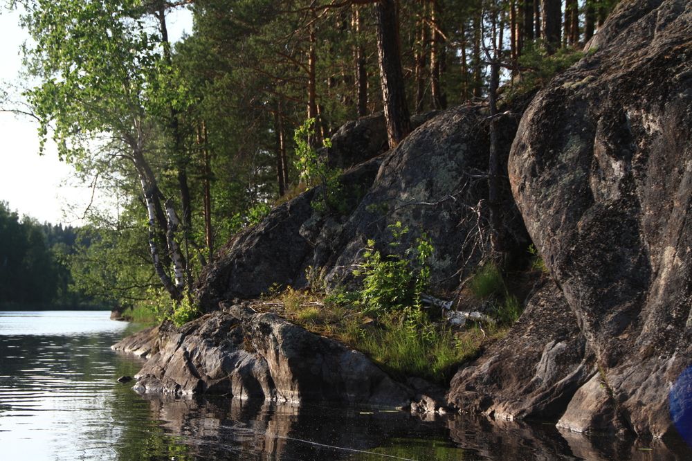 Фотография автора Анастасия Зверева