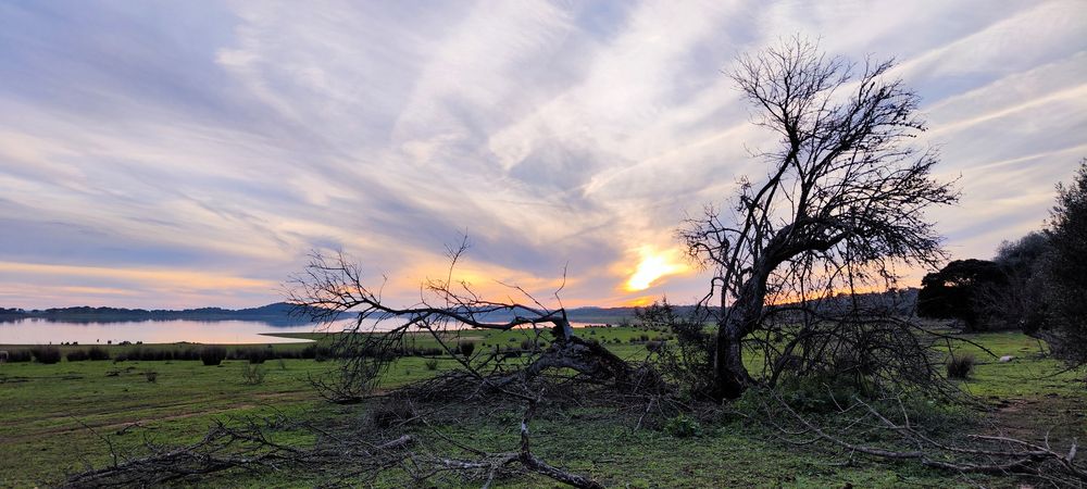 Photograph by Carlos de Sousa Giraldez