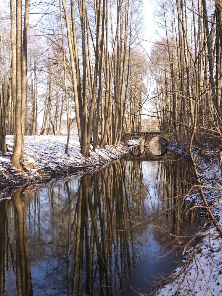 Фотография автора Мария Рудаковская