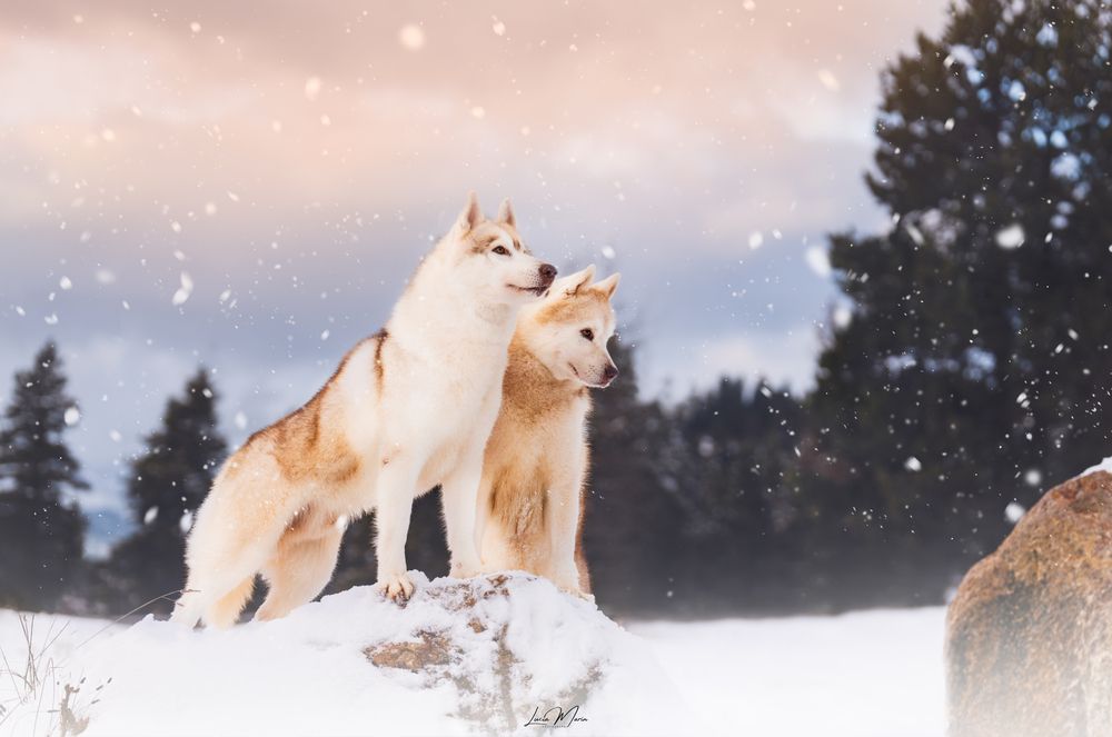 Photograph by Lucía Marín Venegas