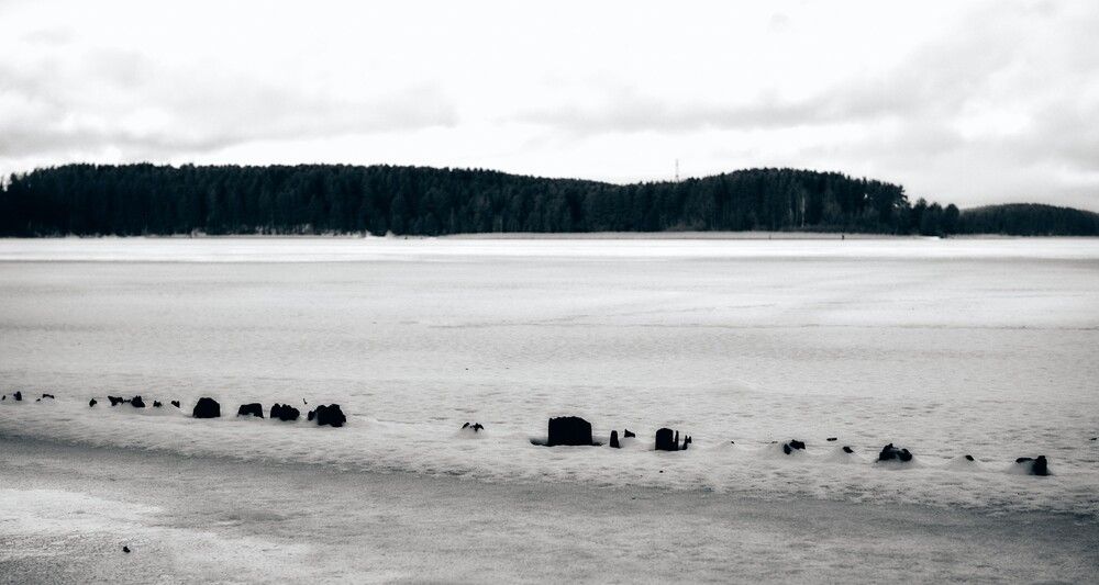 Photograph by Логинов Дмитрий