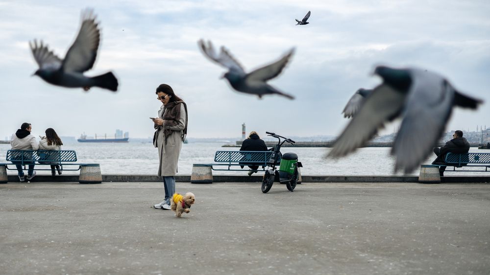 Photograph by Екатерина Кваша