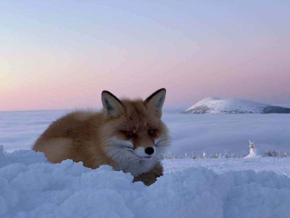 Photograph by Константин Гончаров