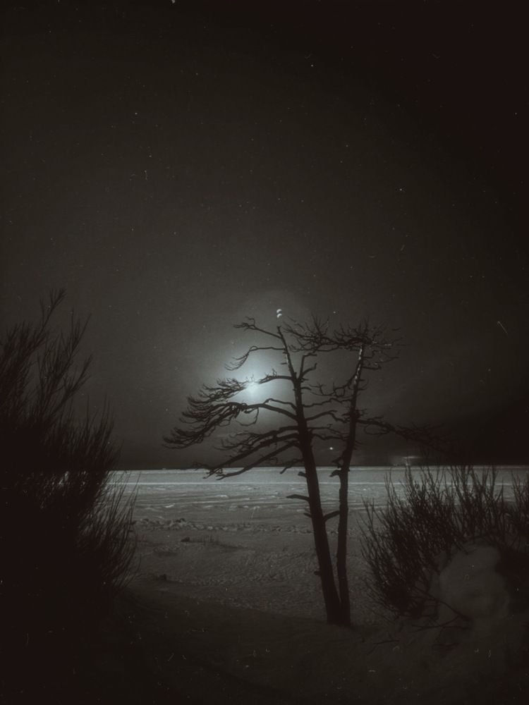 Photograph by Козинец Александр