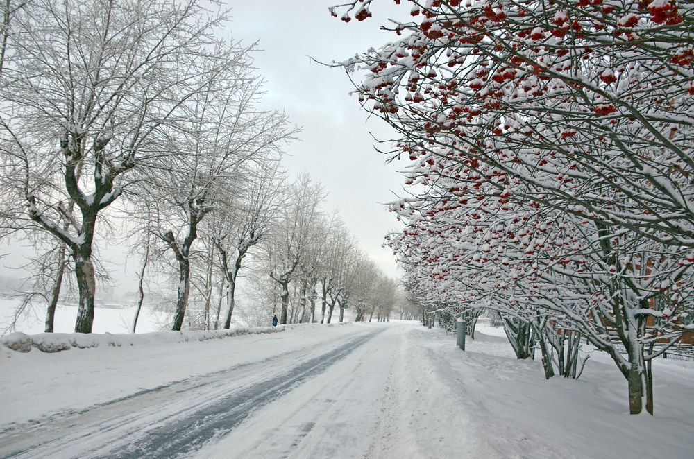 Photograph by Николай Соколовский