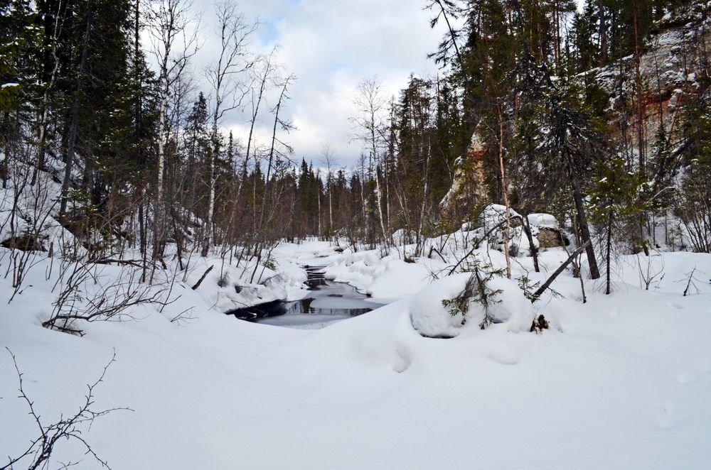 Photograph by Николай Соколовский