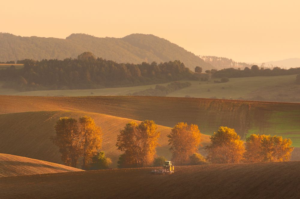 Photograph by Lukas Kulla