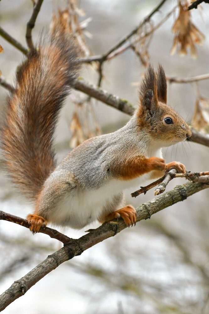 Photograph by Наталья Екимова