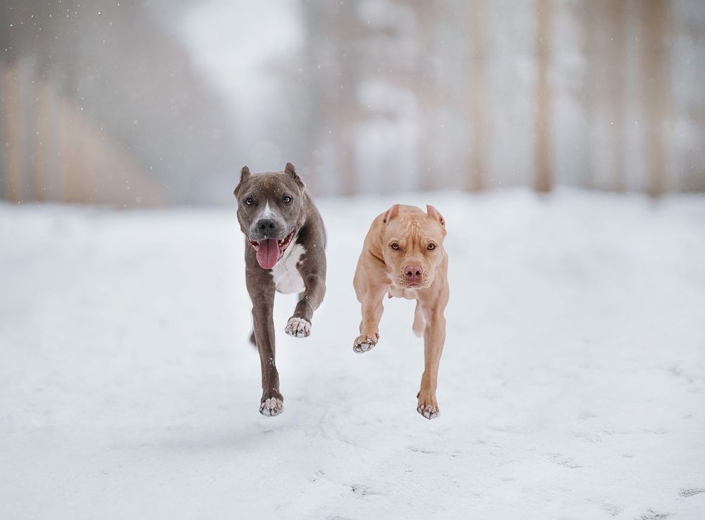 Photograph by Софья Евгеньевна