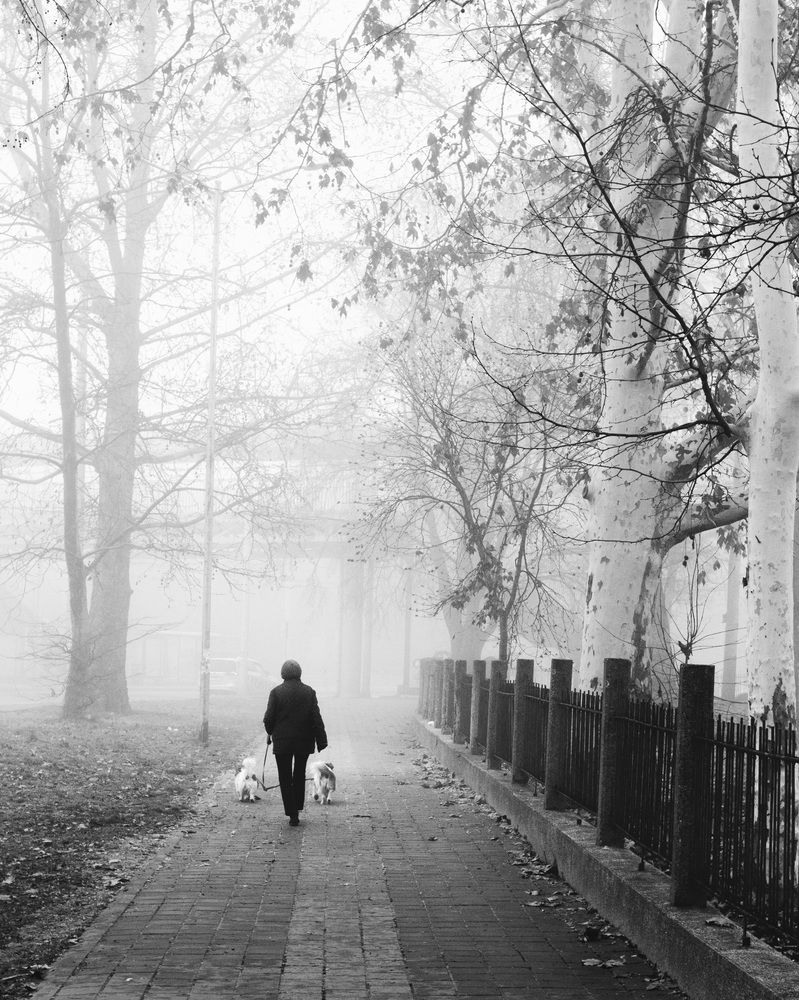 Фотография автора Pavel Shaygarovski