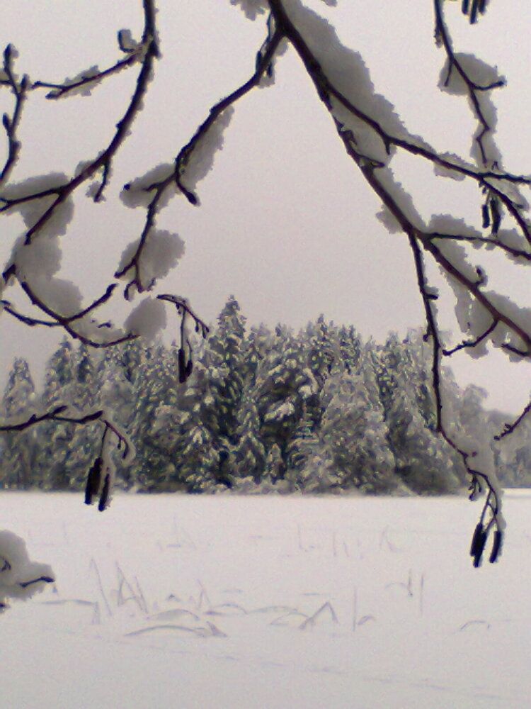 Фотография автора Михаил Смирнов