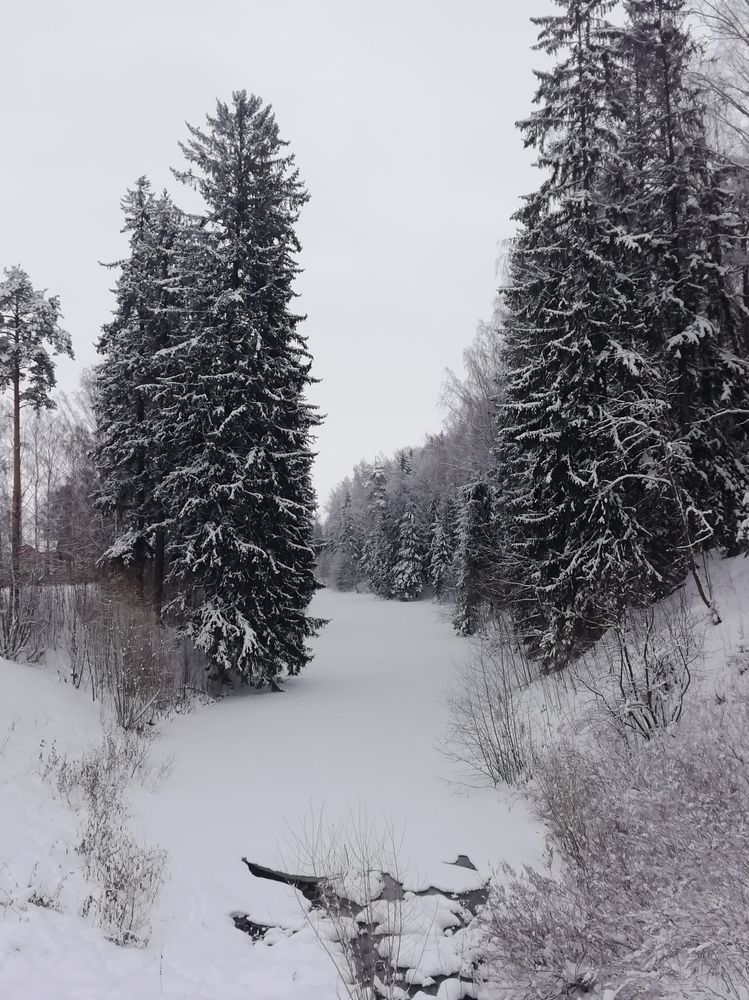 Photograph by Татьяна Вячеславовна