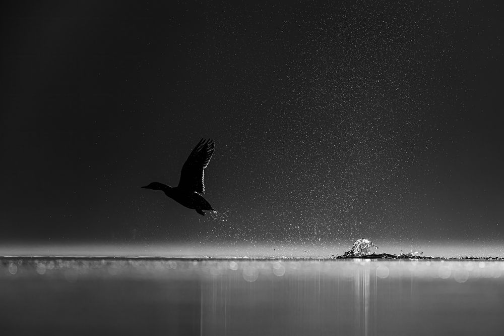 Фотография автора Patryk Kurc