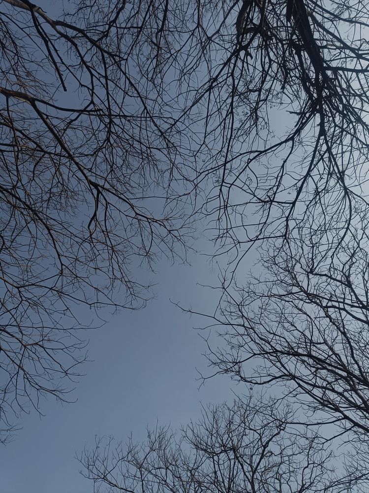 Photo #11854844