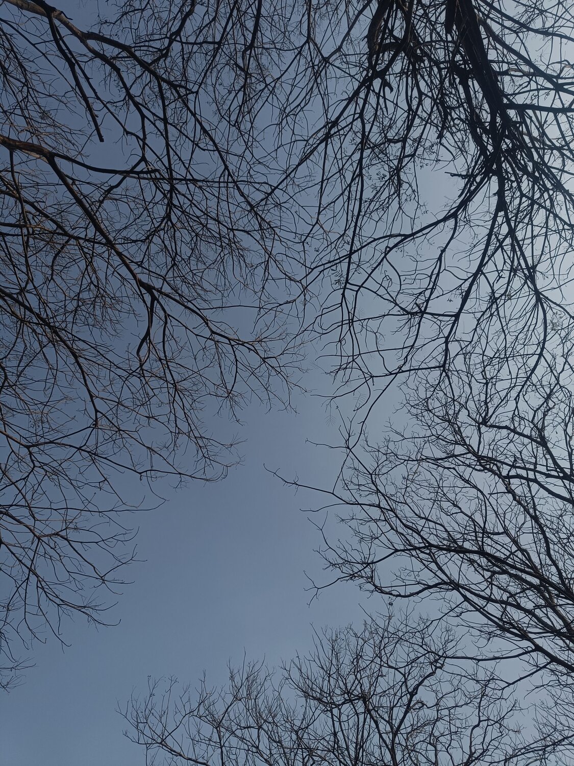 Photo #11854844