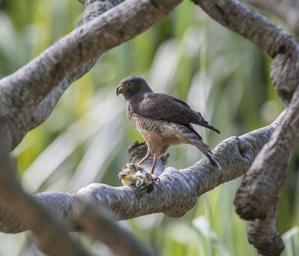 Фотография автора Oskars Smelins