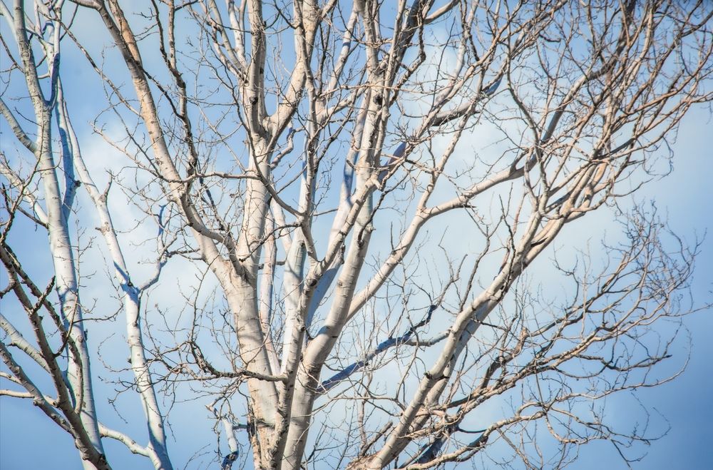 Фотография автора Лада Еремеева