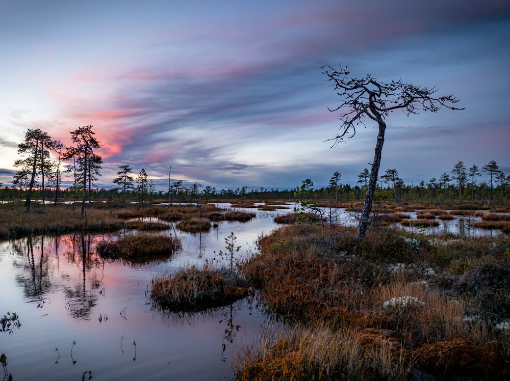 Здесь...там, Бьют шаманы в барабан...