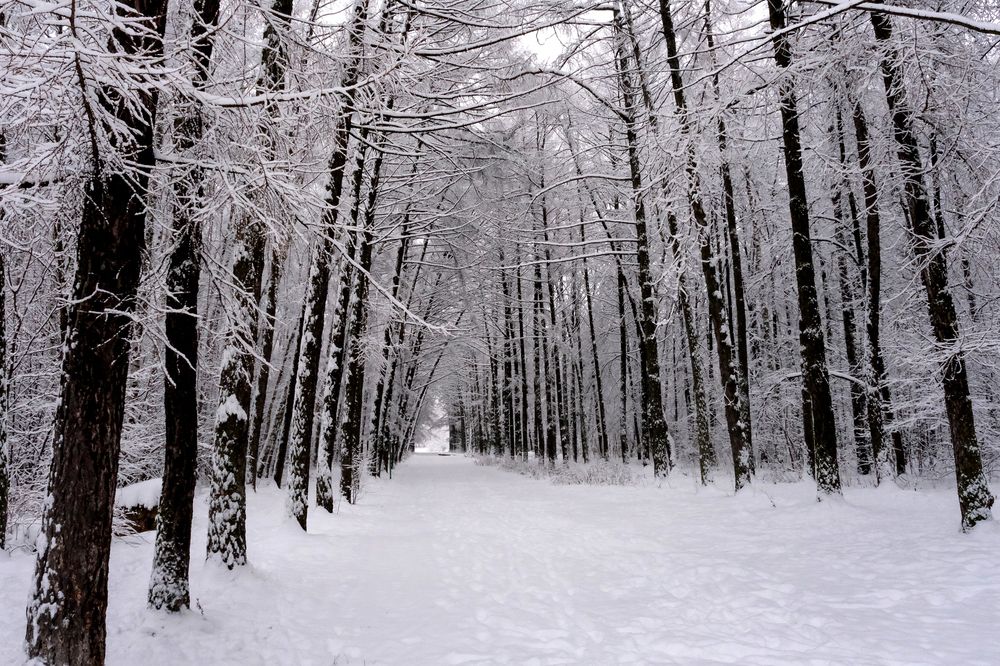 Photograph by Александр Малышев