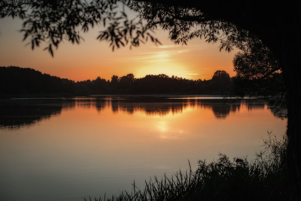 Photograph by Марина Пехтерева