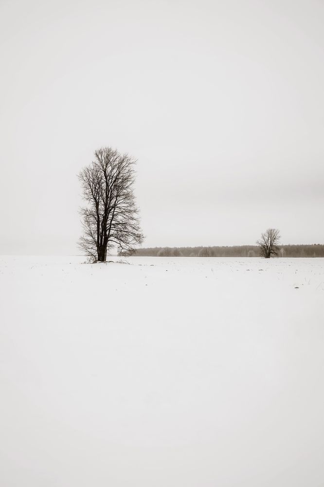 Photograph by Julia Andreeva