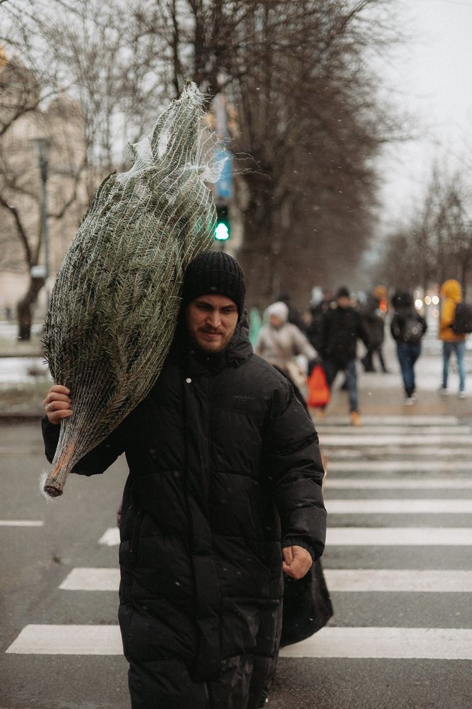 Фотография автора Инета Осина