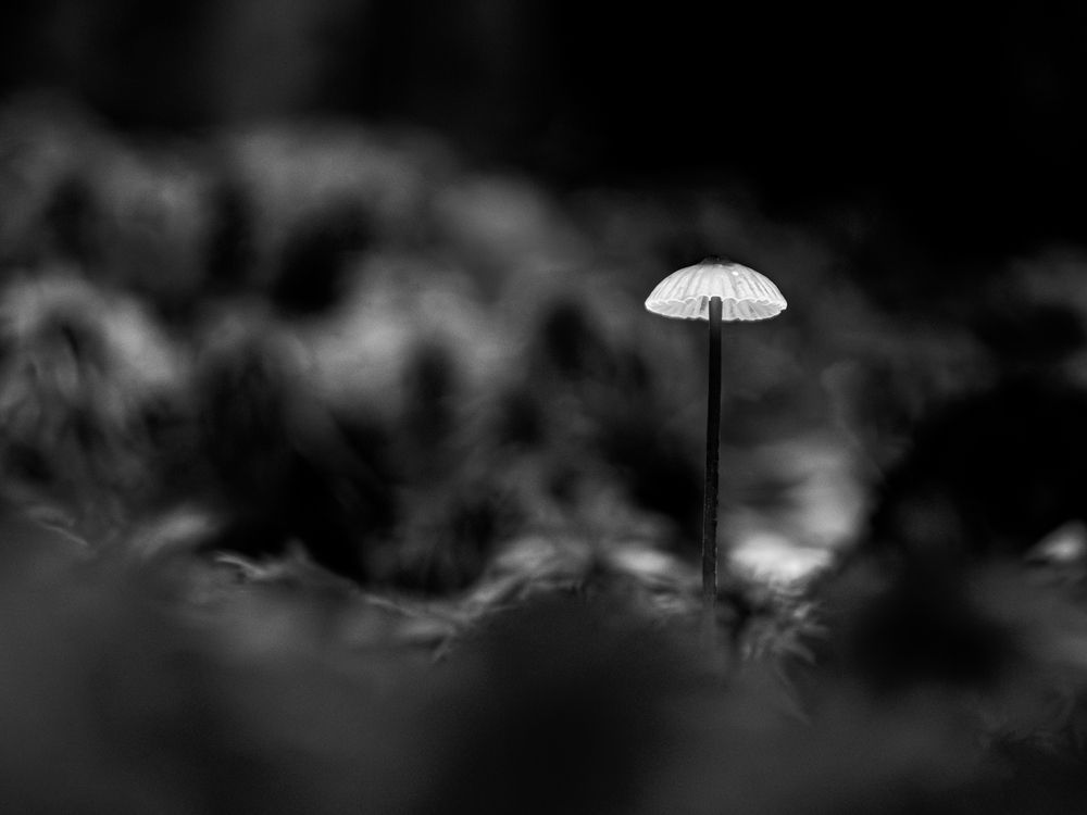 Photograph by Алексей Крылов