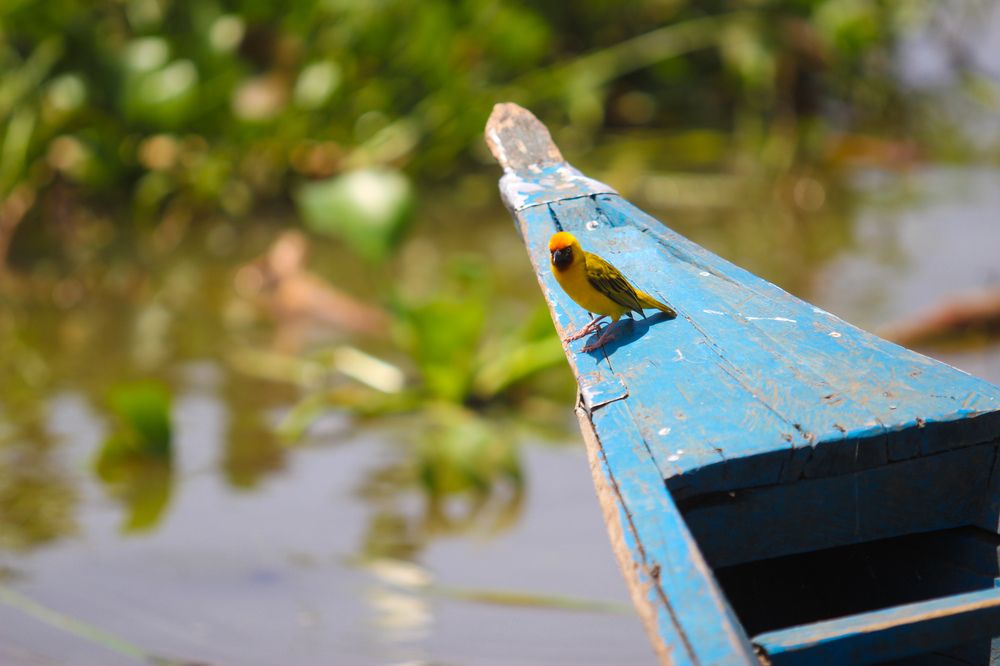 Photograph by Isaiah Omondi