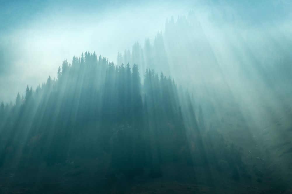 Photograph by Алексей Баженов