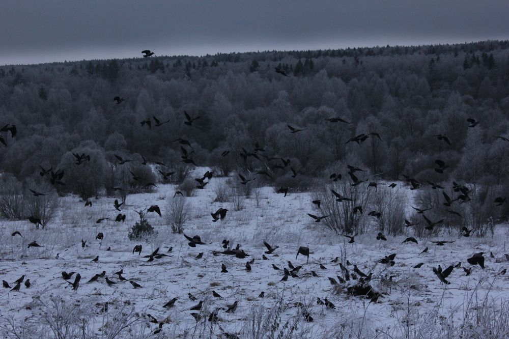 Фотография автора Тори