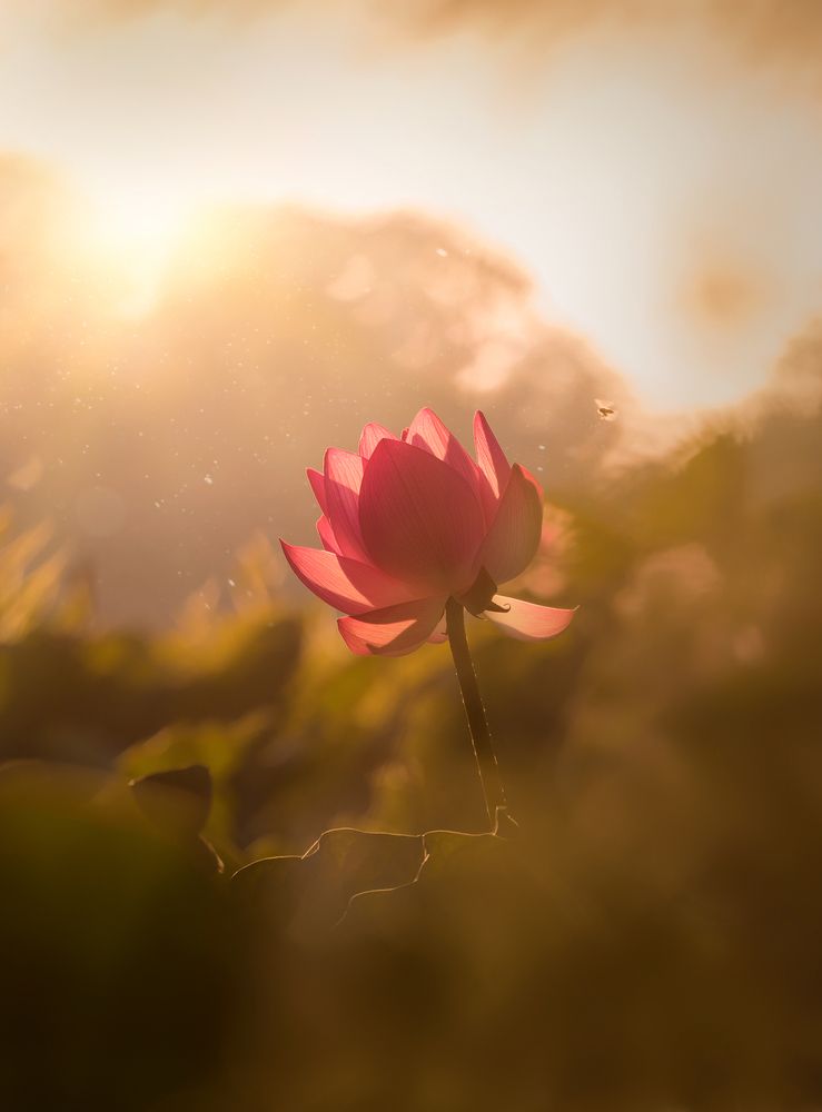 Photograph by Valdir Hobus