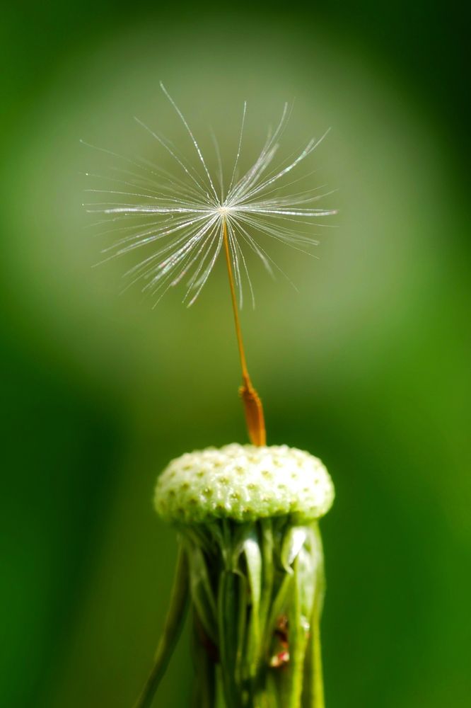 Photograph by Наталья Лобанова